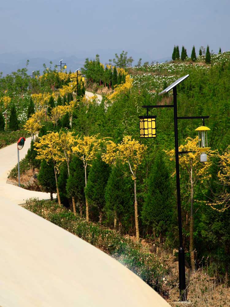 太陽能殺蟲燈 太陽能殺蟲燈